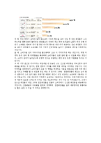 [소비자행동론] 로드샵을 통한 소비자행동분석-미샤의 로드샵 마케팅-6