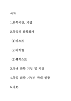 [국제경영] 독일의 화학기업 바스프BASF, 바이엘BAYER, 훼히스트HOECHST의 한국시장 진출 사례-2