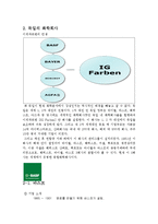 [국제경영] 독일의 화학기업 바스프BASF, 바이엘BAYER, 훼히스트HOECHST의 한국시장 진출 사례-4