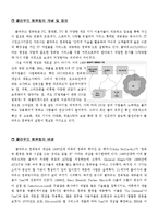 [경영정보] Cloud Computing의 장단점과 영향-3