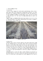 [관광지리학] 중국 서안의 관광-인물과 시대를 중심으로-6