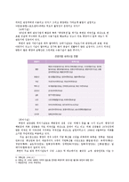 [관광경영] 국내관광시장개방에 대비한 통일 이후 한국관광업계의 대응전략-7