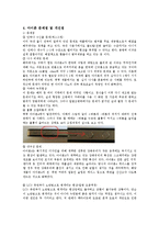[경영정보] 아이폰 iPhone4 문제점 및 개선점-12