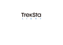 [국제경영] 트렉스타(TrekSta) 경영사례 연구-1