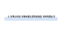 [국제경영] 트렉스타(TrekSta) 경영사례 연구-5