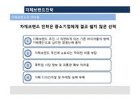 [국제경영] 트렉스타(TrekSta) 경영사례 연구-9