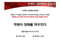 [광고와 언어] 브랜드와 네이밍-11
