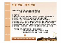 [관광경영] 외암리 마을 관광 상품 개발-8