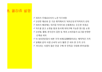 [소비자행동론] 이마트 피자 마케팅 전략 제안-9