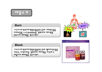 [마케팅전략] LG생활건강 다이어트 시장 진출 위한 `번&블럭(Burn & Block)` 마케팅 전략-4