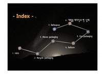 재활용 패키징 현 실태와 앞으로의 방향성-2