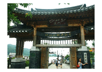 [여행사경영론] 허니문 관광의 여행 선호 지역 및 여행자 성향 국내 국외-18