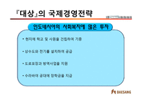 [국제경영] 미원의 인도네시아 진출과 의의-16