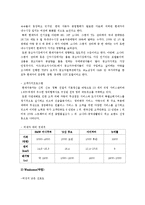 [마케팅] 현대자동차 여성시장 마케팅 전략 방안-2