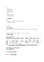 [마케팅] 현대자동차 여성시장 마케팅 전략 방안-12