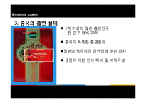 [국제무역과 마케팅] 중국인의 흡연실태와 금연상품 개발 및 마케팅 전략-5