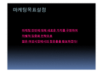 [마케팅] 현대자동차 여성시장 마케팅 전략 방안-17