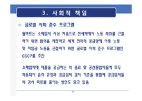 [경영학] 월마트의 글로벌지속가능성-17