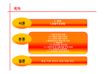 [관광경영] 국내관광시장개방에 대비한 통일 이후 한국관광업계의 대응전략-2