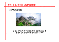 [관광경영] 국내관광시장개방에 대비한 통일 이후 한국관광업계의 대응전략-8