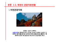 [관광경영] 국내관광시장개방에 대비한 통일 이후 한국관광업계의 대응전략-9