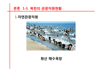 [관광경영] 국내관광시장개방에 대비한 통일 이후 한국관광업계의 대응전략-10