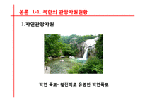 [관광경영] 국내관광시장개방에 대비한 통일 이후 한국관광업계의 대응전략-12