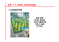 [관광경영] 국내관광시장개방에 대비한 통일 이후 한국관광업계의 대응전략-17