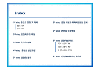 [관광개발론] 온천관광 개발과 사례-2