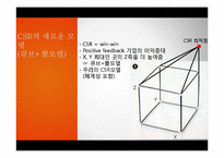[기업과 사회] 큐브,뿔 모형으로 파악한 지속경영과 이윤 간의 관계-체계성을 도입한 CSR과 기업의 이윤 상관관계 분석-8