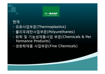 [국제경영] 독일의 화학기업 바스프BASF, 바이엘BAYER, 훼히스트HOECHST의 한국시장 진출 사례-9