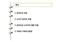 [소비자행동론] 관여도와 저관여 구매의사결정-2