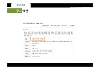 [광고론] 알앤엘바이오의 불법줄기세포시술논란 이미지회복을 위한 광고 기획-14