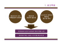 [광고기획론] 비락 복분자, 칡즙 광고 기획서-16
