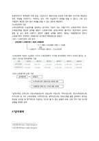 [사회복지정책론] SSI(Supplemental security income)과 국민기초생활보장법-11