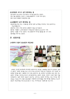 해외문화관광-칠레-6