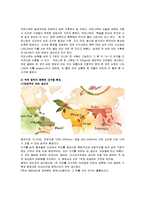 유럽인의 삶-유럽의 커피역사와 종류, 한국커피의 발전 방향-11