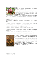 유럽인의 삶-유럽의 커피역사와 종류, 한국커피의 발전 방향-16