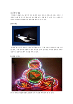 백남준과 그의 예술 - 비디오아트와 그 예술적 가치를 중심으로-8