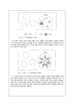 [청소년복지] 14장 집단따돌림문제, 15장 학교 밖 청소년문제-4