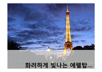 [프랑스언어와 문화] 프랑스의 영화-3