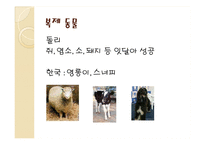 인간 복제의 찬반 논쟁 쟁점-3