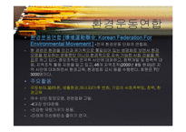 한국의 대표 NGO와 주요활동, 발전과제-14
