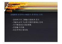 한국의 대표 NGO와 주요활동, 발전과제-18
