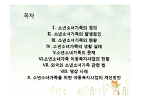 [아동가족학] 소년소녀가족 복지사업 현황 및 개선방안-2