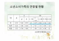 [아동가족학] 소년소녀가족 복지사업 현황 및 개선방안-8