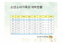 [아동가족학] 소년소녀가족 복지사업 현황 및 개선방안-9