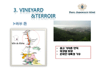 와인과 소믈리에-Paul Jaboulet Aine-7