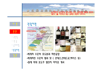 해외문화관광-칠레-9