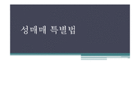 [정책학개론] 성매매 특별법-1